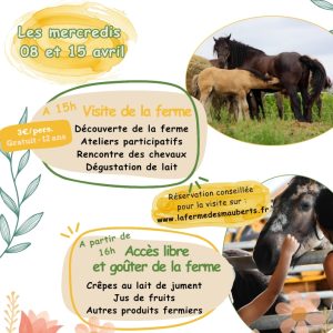 Visite à la ferme